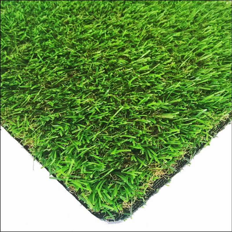 Hierba de jardín (GG20)
