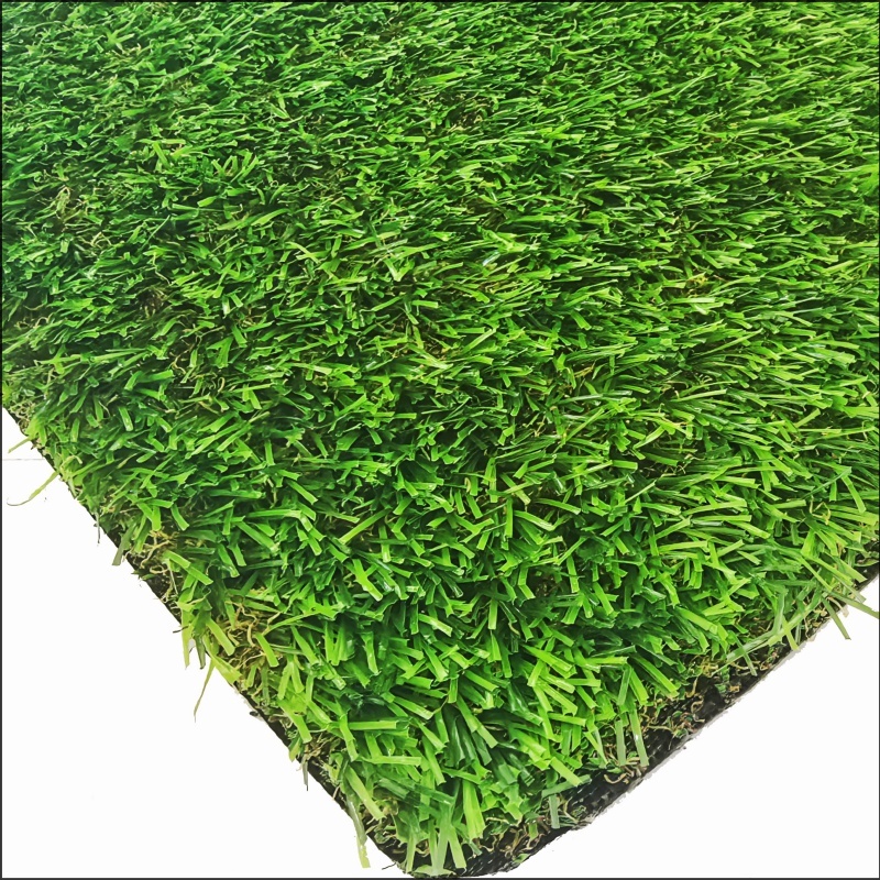 Hierba de jardín (GG25)