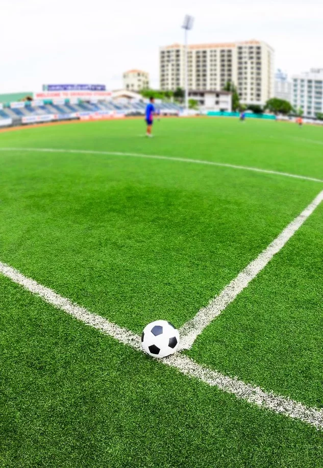 Fútbol Hierba