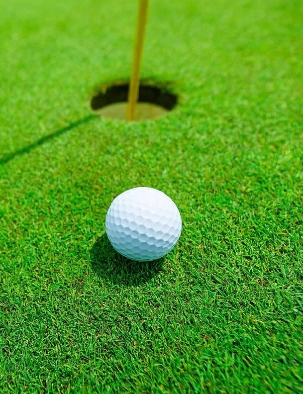 golf césped